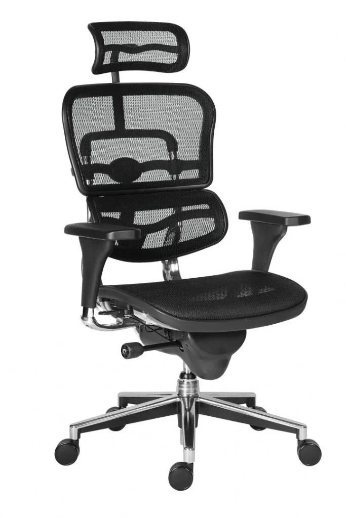 Scaun ergonomic Negru ERGOHUMAN PDH