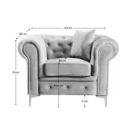 Fotoliu de lux, stofa gri deschis Velvet, ROMANO